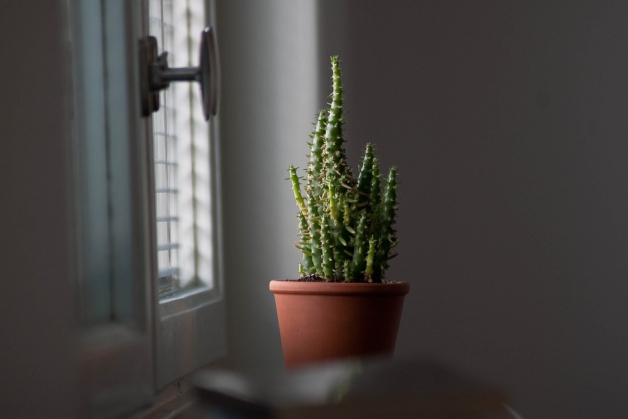 Botanische prints op raamfolie bieden privacy.