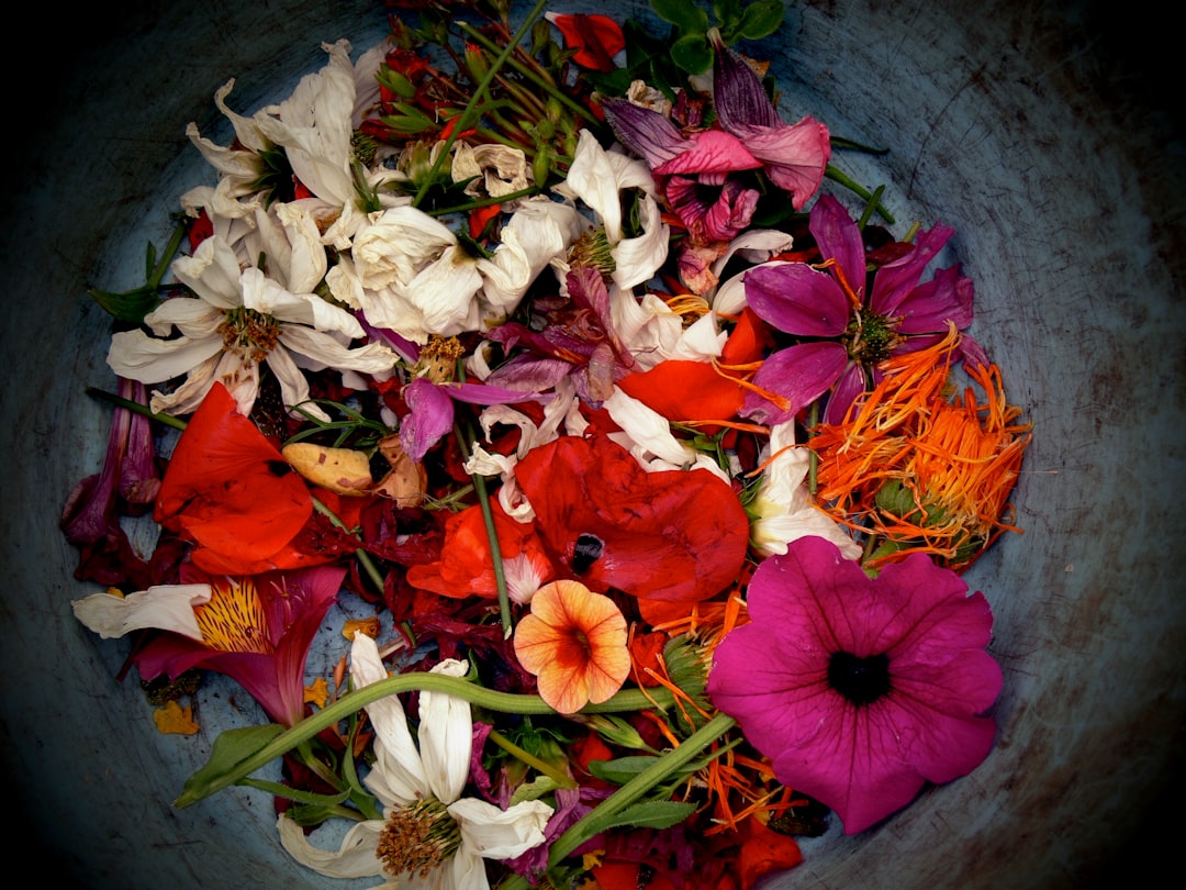 Vrolijke zomersalade met kleurrijke eetbare bloemen. Vrolijke zomersalade met kleurrijke eetbare bloemen.