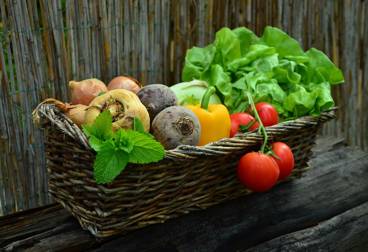 Ouders en kinderen oogsten groente in ecologische tuin.