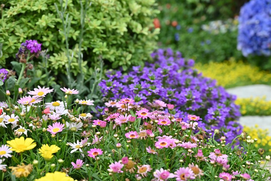 Automatisch bewateringssysteem houdt planten gezond.