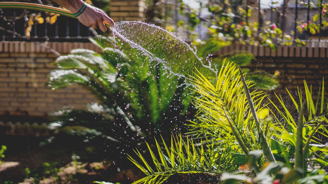 Slim irrigatiesysteem voor gezonde zomerse tuin.