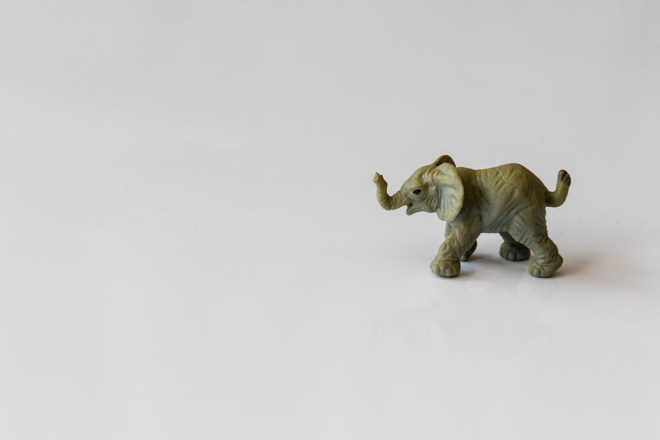 Schattig olifant behang in lichte kinderkamer Schattig olifant behang in lichte kinderkamer